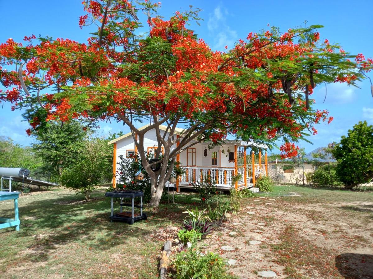 Bungalow Au Soleil Saint-Francois  Dış mekan fotoğraf